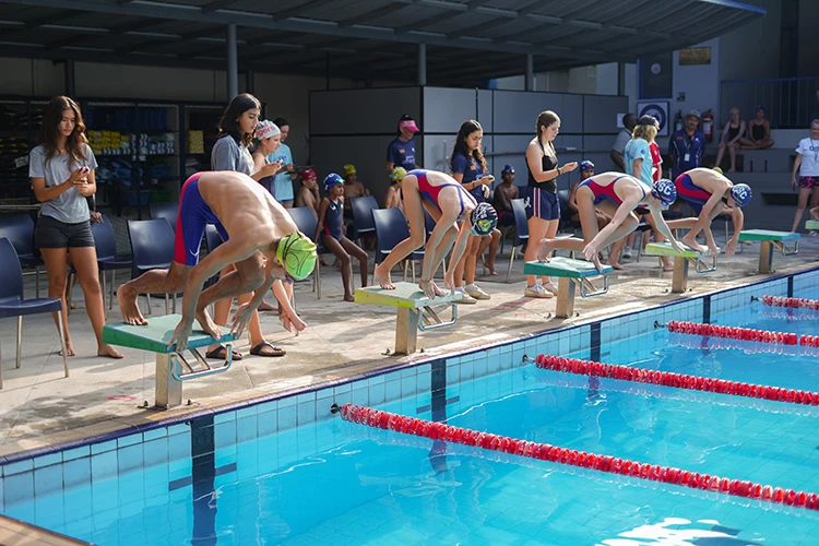 Image about Gecko Swimming Gala